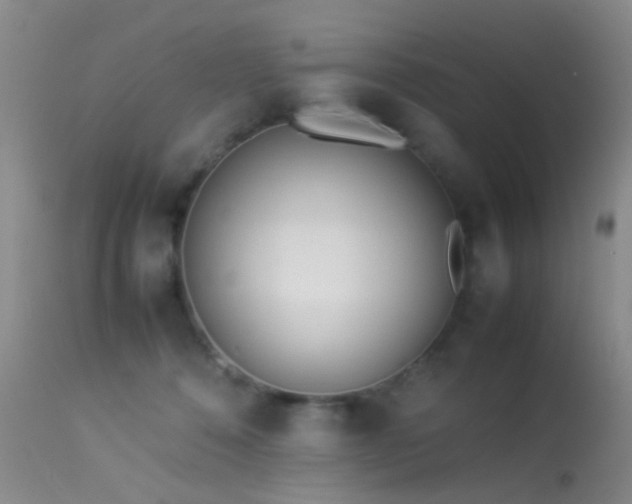 X0000113330320200909141433