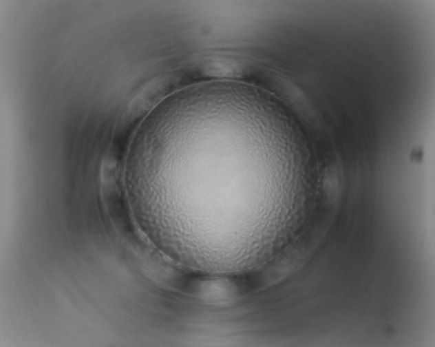 X0000113330322200909141433