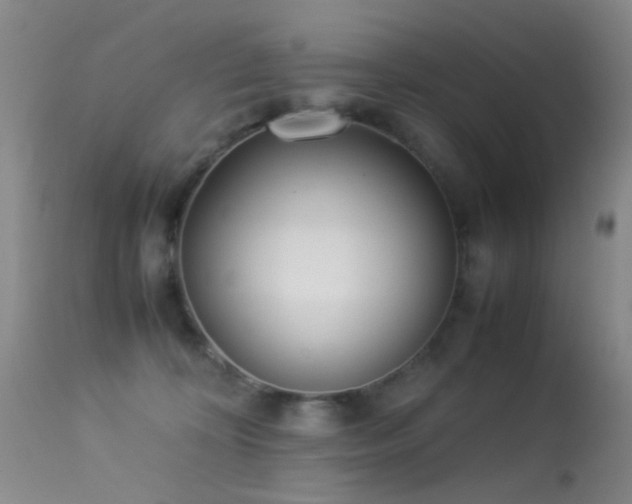 X0000113330324200909141433