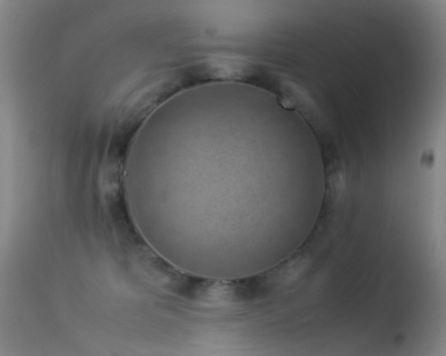 X0000113330325200909141433