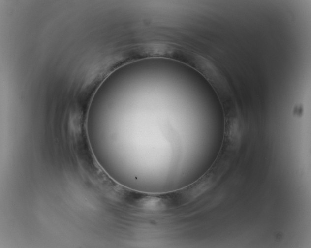 X0000113330326200909141433
