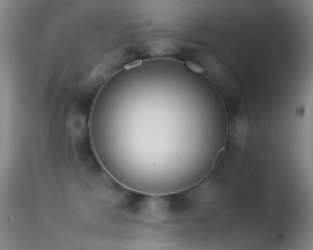 X0000113330327200909141433