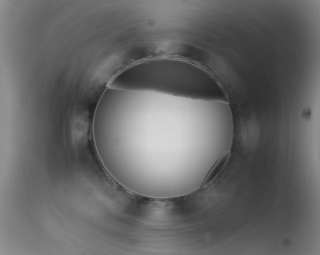 X0000113330328200909141433