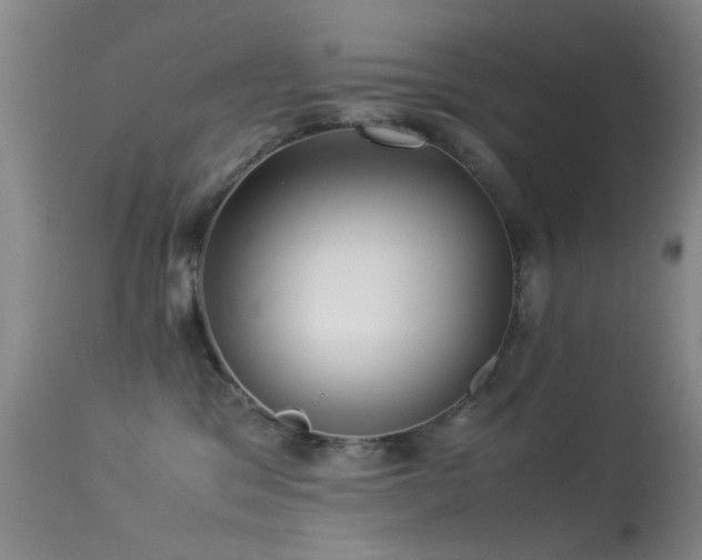 X0000113330329200909141433