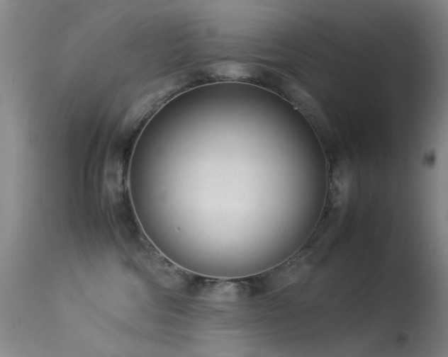 X0000113330330200909141433