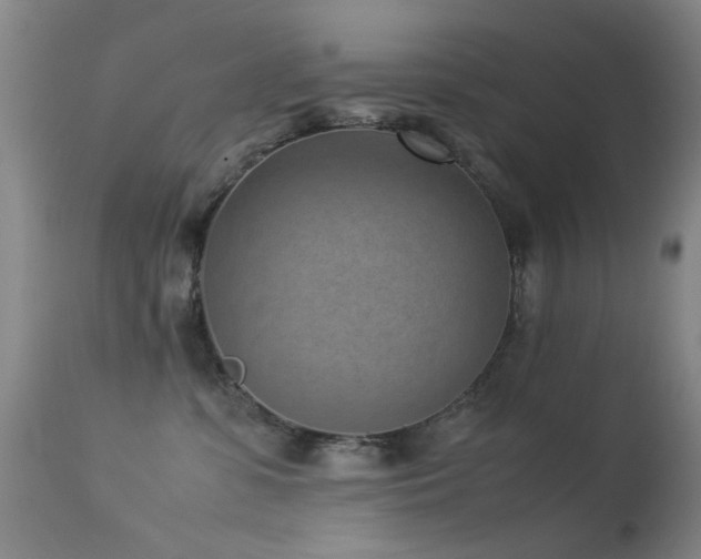 X0000113330331200909141433