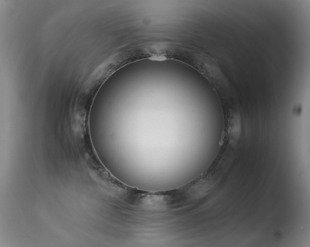 X0000113330332200909141433