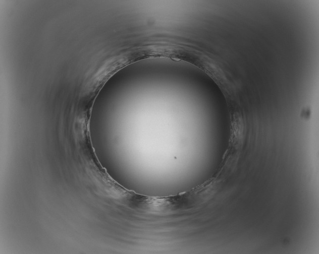 X0000113330333200909141433