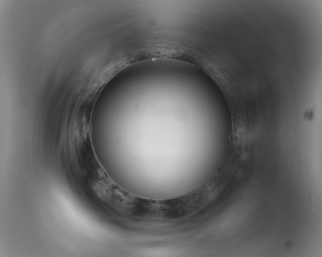 X0000113330334200909141433