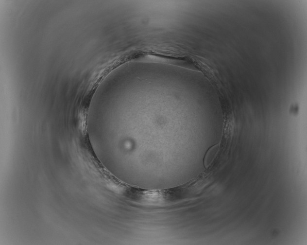 X0000113330335200909141433