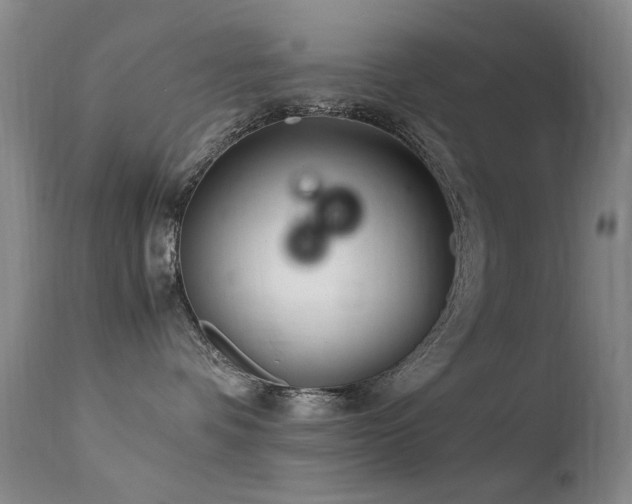 X0000113330336200909141433