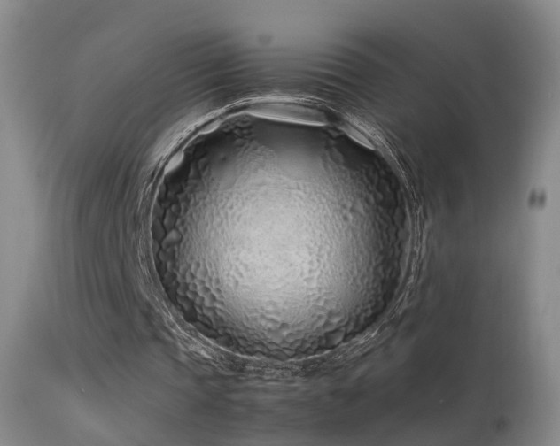 X0000113330337200909141432