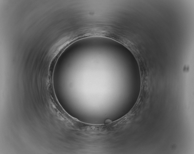 X0000113330338200909141432