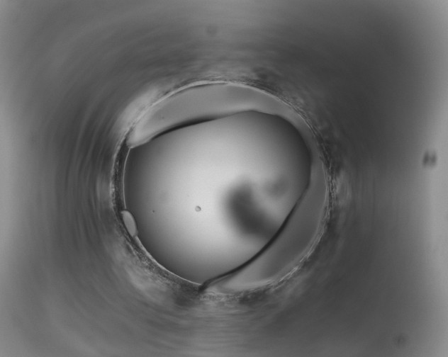 X0000113330340200909141432
