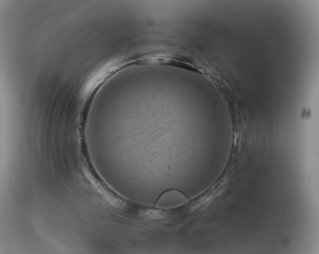 X0000113330341200909141432