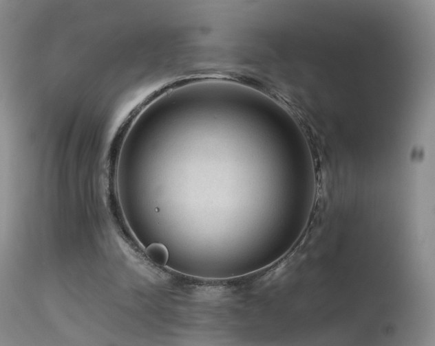 X0000113330342200909141432