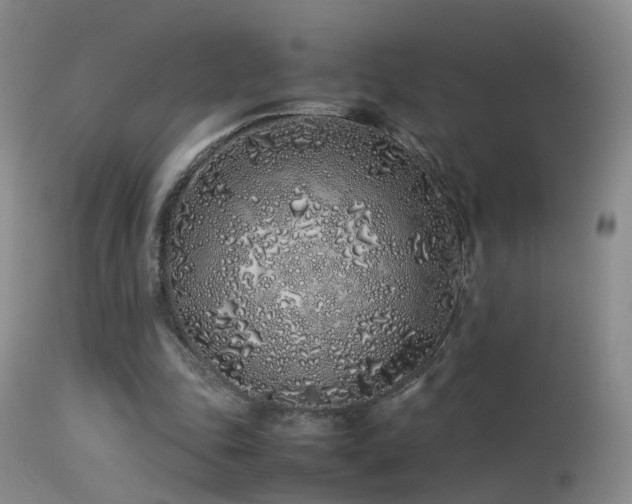 X0000113330343200909141432