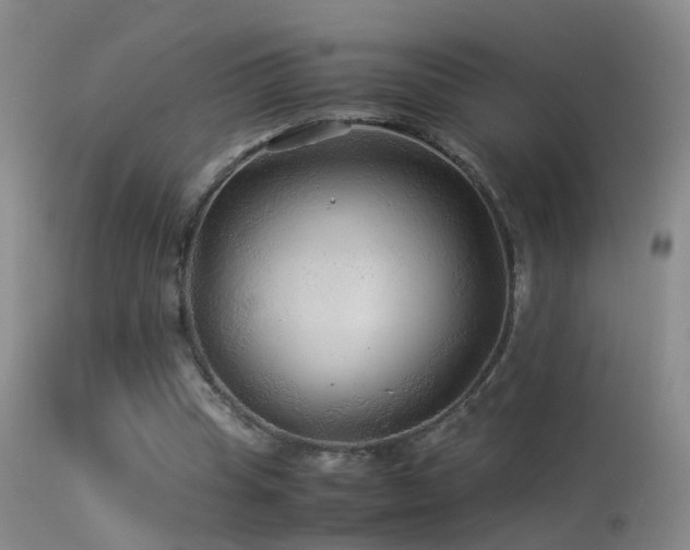 X0000113330345200909141432