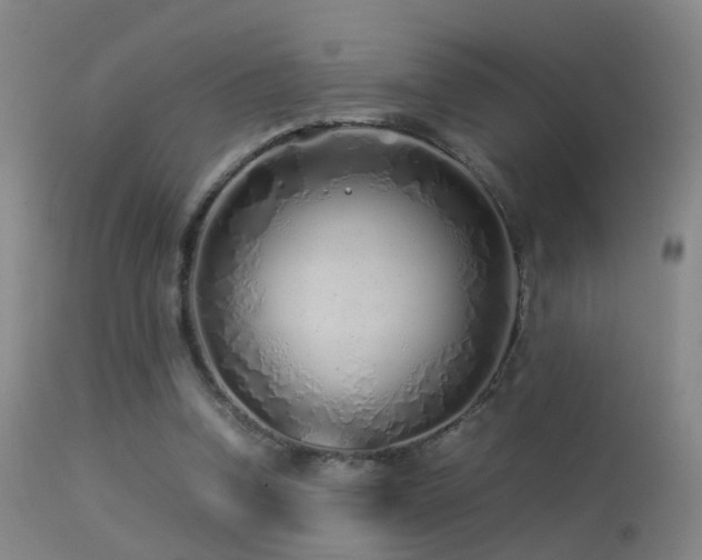 X0000113330346200909141432