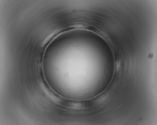 X0000113330349200909141432