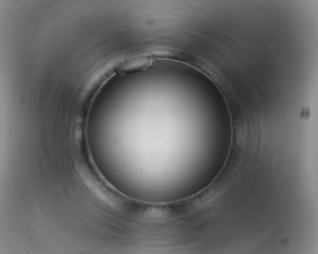 X0000113330350200909141432
