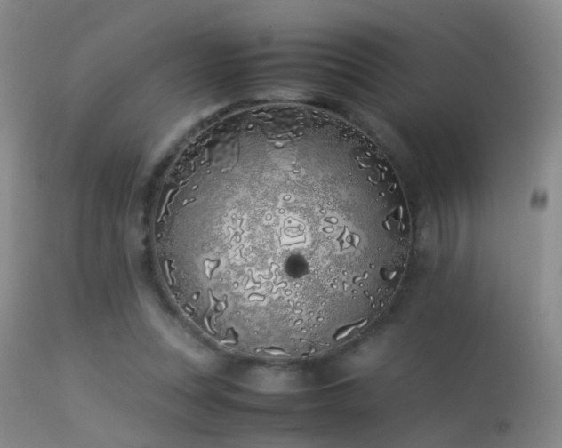 X0000113330351200909141432