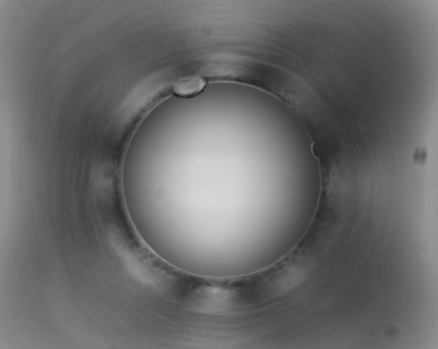 X0000113330352200909141432