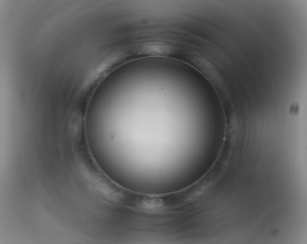X0000113330355200909141432