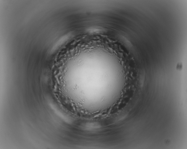 X0000113330357200909141432