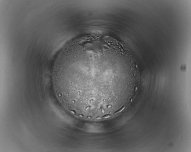 X0000113330359200909141432