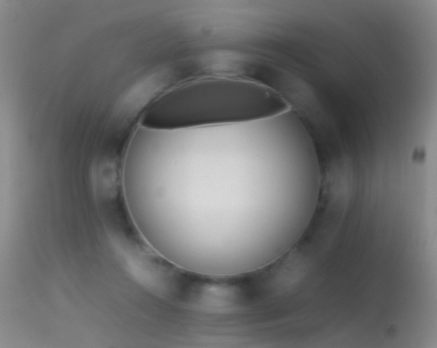 X0000113330360200909141432