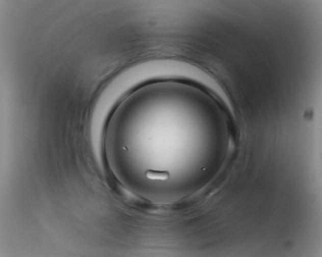 X0000113330362200909141432