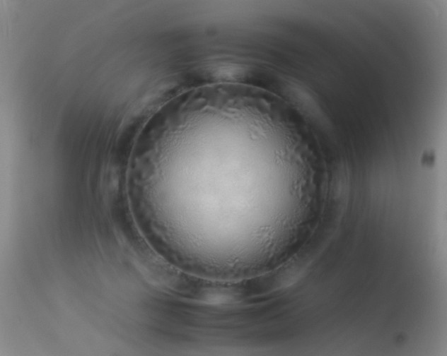 X0000113330363200909141432