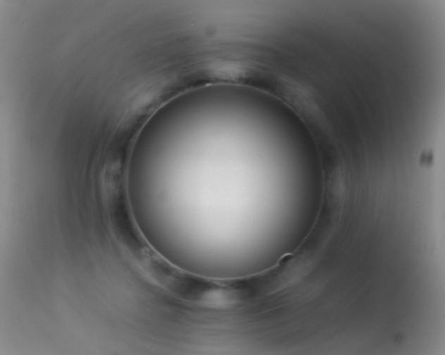 X0000113330364200909141432