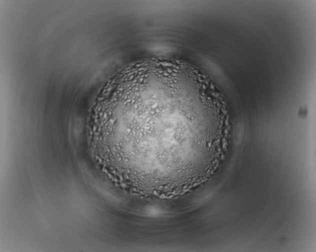 X0000113330365200909141432