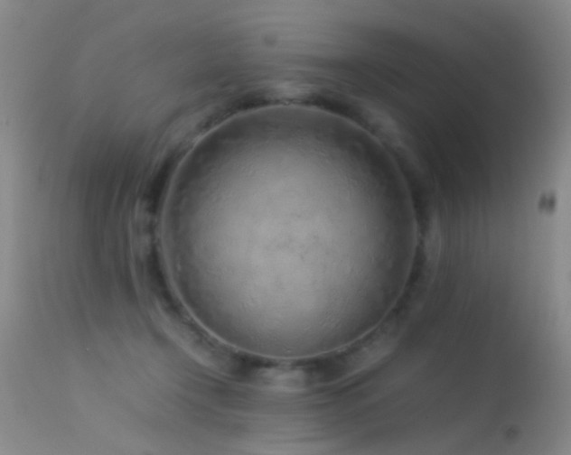 X0000113330366200909141432