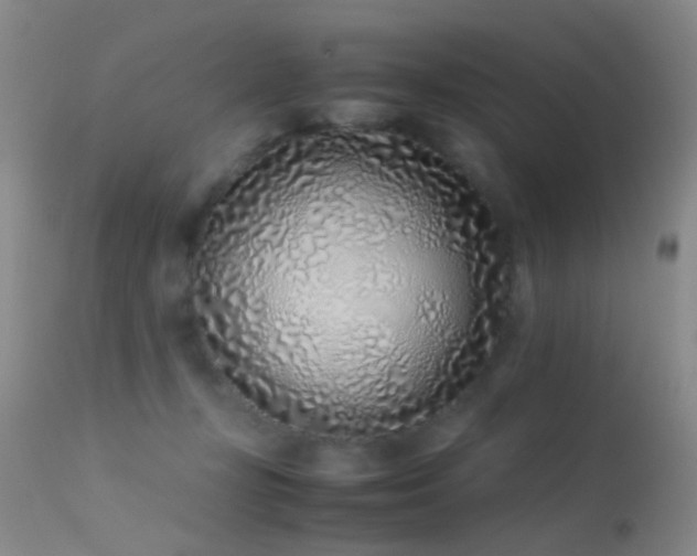 X0000113330367200909141432