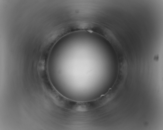 X0000113330368200909141432