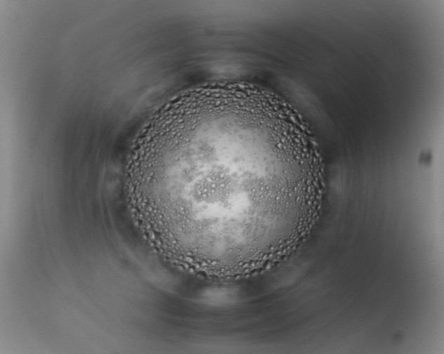 X0000113330369200909141432