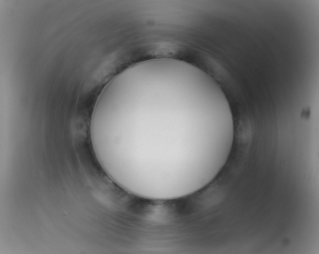 X0000113330370200909141432
