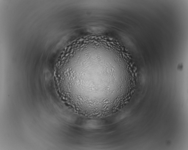 X0000113330371200909141432