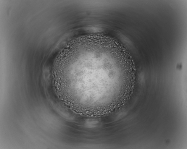 X0000113330373200909141432