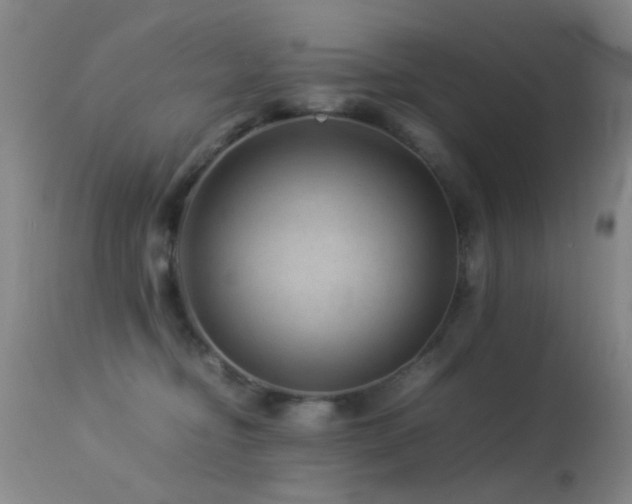X0000113330374200909141433