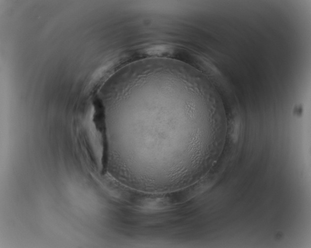 X0000113330375200909141433
