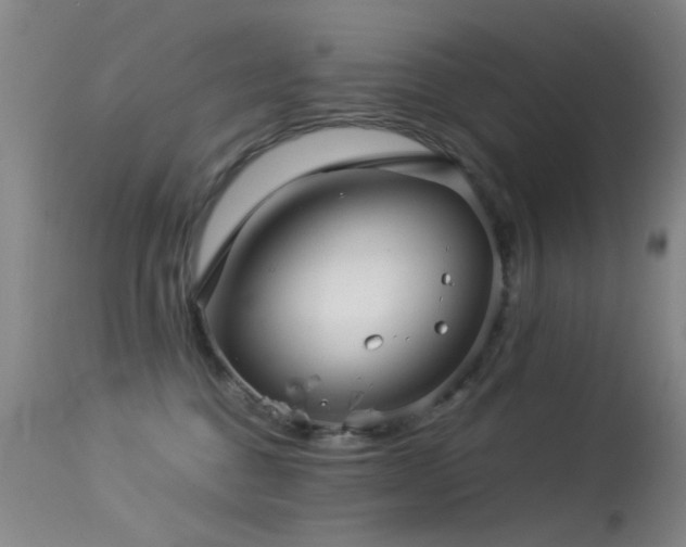 X0000113330376200909141433