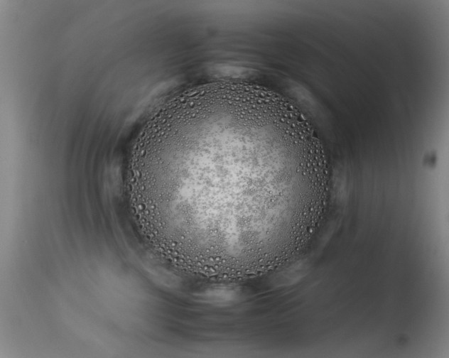 X0000113330377200909141433