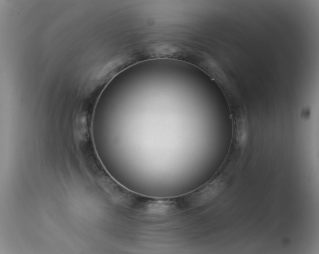 X0000113330378200909141433