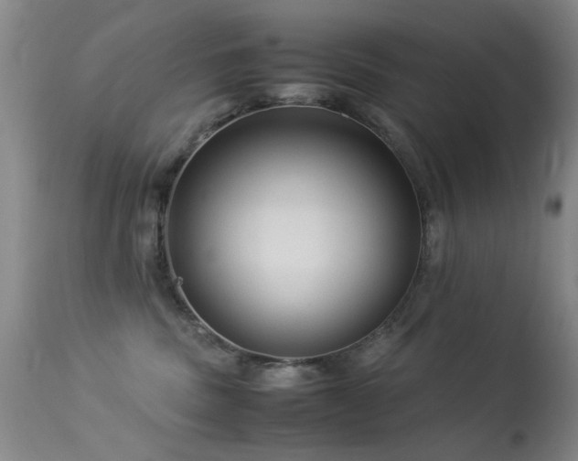 X0000113330379200909141433