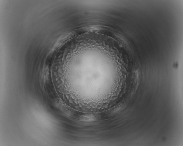 X0000113330381200909141433