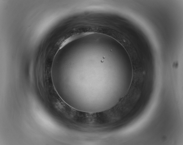 X0000113330382200909141433